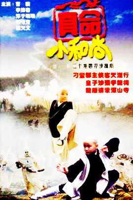 真命小和尚之无字天书海报