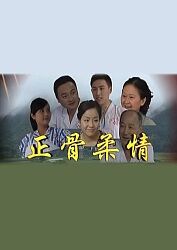 正骨柔情海报