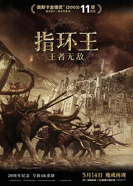 指环王3：王者无敌剧照