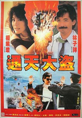 通天大盗粤语海报