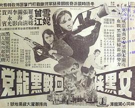 女黑侠血战黑龙党粤语海报