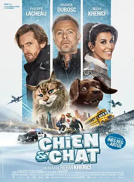 猫狗大乱斗剧照