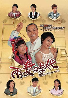两妻时代粤语海报