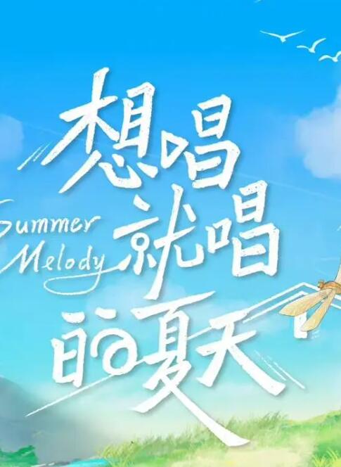 想唱就唱的夏天海报