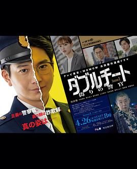 双面骗子 虚假警察 第一季海报
