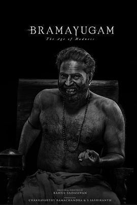 轮回：疯狂时代海报