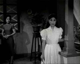 嫂夫人粤语海报