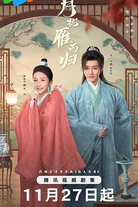 月拢雁西归海报